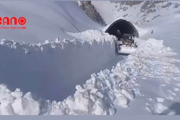 خبرگزاری بانو: سازمان غذا و کشاورزی سازمان ملل متحد (فائو) اعلام کرده است که در فاصله زمانی دوم تا هشتم ماه جاری میلادی، بیشتر مناطق افغانستان شاهد شرایط غیرمعمول گرما با افزایش دما بین یک تا پنج درجه سانتی‌گراد خواهند بود. فائو روز چهارشنبه، ۱۵ دلو، با نشر پیامی در شبکه اجتماعی ایکس گفته است که این وضعیت می‌تواند به کاهش خطر سرمازدگی محصولات زمستانی و بهبود دسترسی دامداران به مراتع کمک کند؛ اما هم‌زمان هشدار داده که ذوب سریع‌تر برف و کاهش ذخایر برفی ممکن است رطوبت خاک و منابع آب را در اواخر فصل زمستان محدود سازد. بر اساس ارزیابی‌های این نهاد، در حال حاضر شرایط مرطوب‌تر از حد معمول در غرب کشور و بخش‌هایی از ولایت‌های مرکزی مشاهده می‌شود، در حالی که پیش‌بینی می‌شود ولایت‌های شرقی، جنوب‌شرقی و شمال‌شرقی افغانستان با بارندگی کم‌تر از حد متوسط مواجه باشند و همچنان خشک باقی بمانند. فائو افزوده است که بارندگی بالاتر از حد متوسط همراه با دمای گرم می‌تواند از محصولات دیم و رشد مراتع در مناطق غربی افغانستان حمایت کند، اما در عین حال خطر وقوع سیلاب را نیز افزایش خواهد داد. این نهاد پیش از این هشدار داده بود که فصل بارندگی سال جاری در افغانستان به‌گونه‌ای گرم‌تر و خشک‌تر از حد معمول آغاز شده و احتمال بارش کم‌تر از حد متوسط و دمای بالاتر از میانگین در بخش‌های گسترده‌ای از کشور، به‌ویژه در اوایل زمستان، وجود دارد. افغانستان در سال‌های اخیر به‌طور پی‌هم با کاهش بارندگی و خشک‌سالی شدید ناشی از تغییرات اقلیمی روبه‌رو بوده است. هرچند در زمستان جاری در برخی مناطق بارندگی و برف‌باری ثبت شده، اما به گفته کارشناسان میزان آن هنوز پایین‌تر از سطح معمول ارزیابی می‌شود؛ وضعیتی که نگرانی‌ها درباره امنیت غذایی و دسترسی پایدار به منابع آب را همچنان پابرجا نگه داشته است.