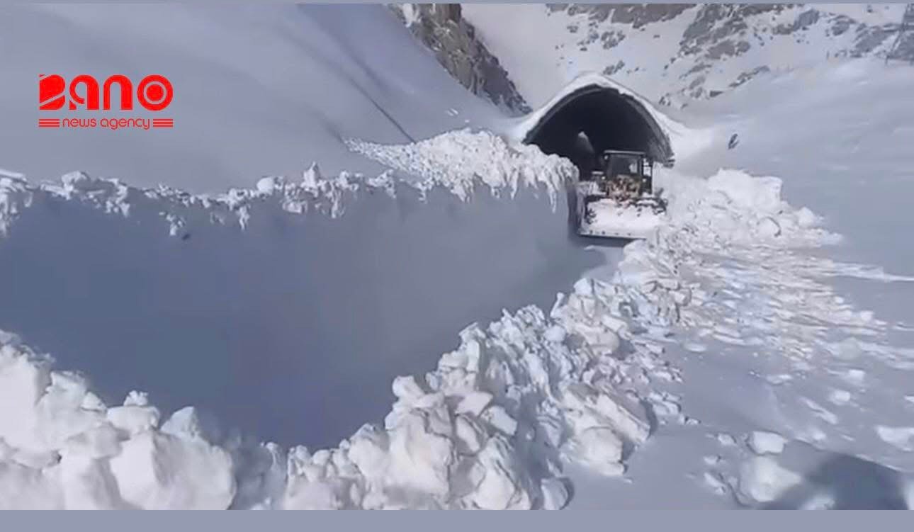 خبرگزاری بانو: سازمان غذا و کشاورزی سازمان ملل متحد (فائو) اعلام کرده است که در فاصله زمانی دوم تا هشتم ماه جاری میلادی، بیشتر مناطق افغانستان شاهد شرایط غیرمعمول گرما با افزایش دما بین یک تا پنج درجه سانتی‌گراد خواهند بود. فائو روز چهارشنبه، ۱۵ دلو، با نشر پیامی در شبکه اجتماعی ایکس گفته است که این وضعیت می‌تواند به کاهش خطر سرمازدگی محصولات زمستانی و بهبود دسترسی دامداران به مراتع کمک کند؛ اما هم‌زمان هشدار داده که ذوب سریع‌تر برف و کاهش ذخایر برفی ممکن است رطوبت خاک و منابع آب را در اواخر فصل زمستان محدود سازد. بر اساس ارزیابی‌های این نهاد، در حال حاضر شرایط مرطوب‌تر از حد معمول در غرب کشور و بخش‌هایی از ولایت‌های مرکزی مشاهده می‌شود، در حالی که پیش‌بینی می‌شود ولایت‌های شرقی، جنوب‌شرقی و شمال‌شرقی افغانستان با بارندگی کم‌تر از حد متوسط مواجه باشند و همچنان خشک باقی بمانند. فائو افزوده است که بارندگی بالاتر از حد متوسط همراه با دمای گرم می‌تواند از محصولات دیم و رشد مراتع در مناطق غربی افغانستان حمایت کند، اما در عین حال خطر وقوع سیلاب را نیز افزایش خواهد داد. این نهاد پیش از این هشدار داده بود که فصل بارندگی سال جاری در افغانستان به‌گونه‌ای گرم‌تر و خشک‌تر از حد معمول آغاز شده و احتمال بارش کم‌تر از حد متوسط و دمای بالاتر از میانگین در بخش‌های گسترده‌ای از کشور، به‌ویژه در اوایل زمستان، وجود دارد. افغانستان در سال‌های اخیر به‌طور پی‌هم با کاهش بارندگی و خشک‌سالی شدید ناشی از تغییرات اقلیمی روبه‌رو بوده است. هرچند در زمستان جاری در برخی مناطق بارندگی و برف‌باری ثبت شده، اما به گفته کارشناسان میزان آن هنوز پایین‌تر از سطح معمول ارزیابی می‌شود؛ وضعیتی که نگرانی‌ها درباره امنیت غذایی و دسترسی پایدار به منابع آب را همچنان پابرجا نگه داشته است.